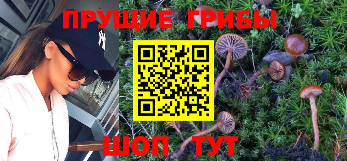 MDMA  Cocaine  Cocaine  Метамфетамин  Вход с VPN  Экстази  НБОМе  Моздок  Меф МЯУ МЯУ кристаллы  ТГК  Каннабис 